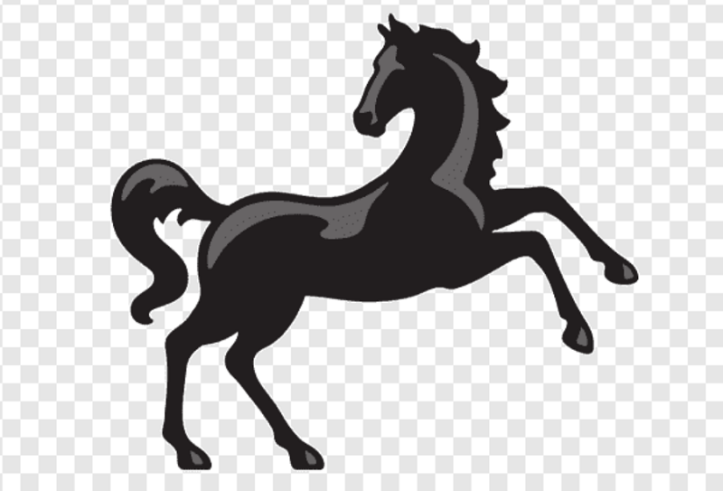 Lloyds Horse Logo